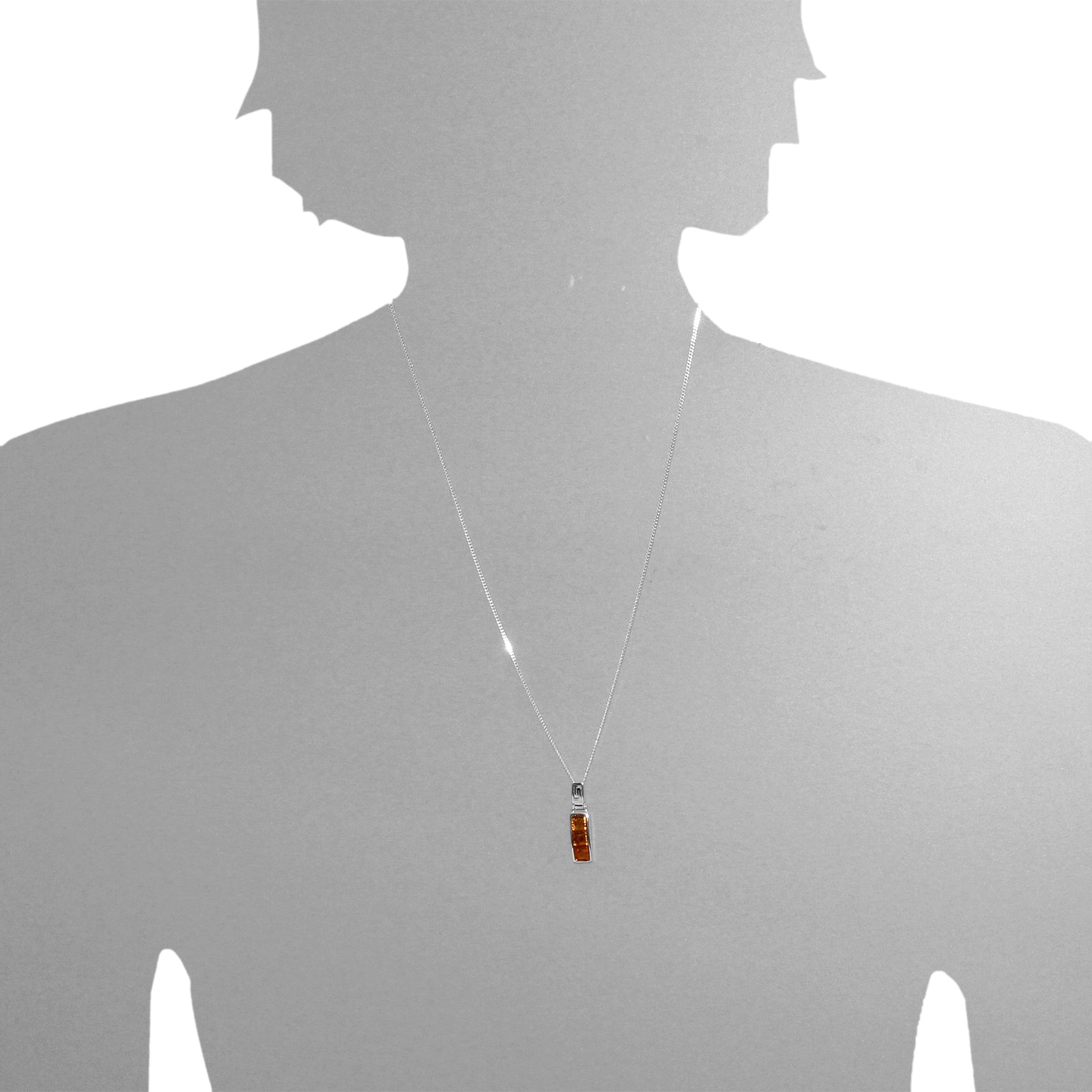 113 20E690 A145s